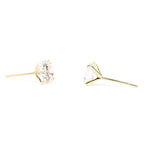 Elliora Aurum Studs